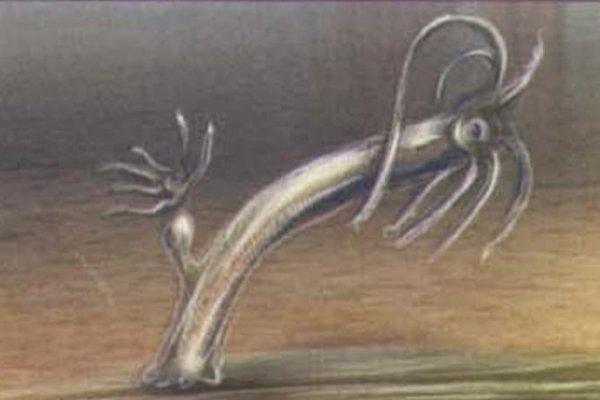 Kra49.at