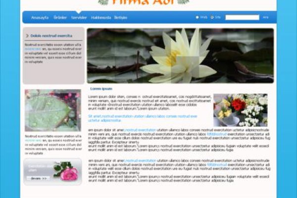 Какая ссылка на кракен