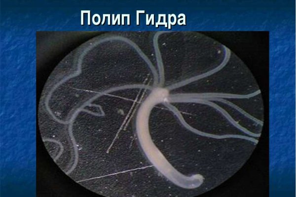 Дарк нет вход