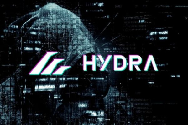 Kraken darknet sliv php