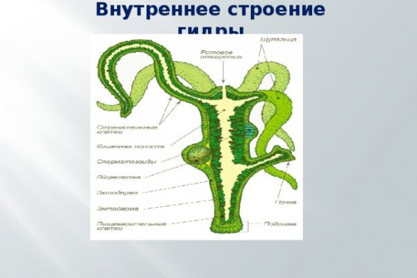 Кракен это гидра