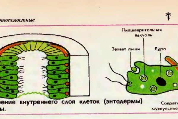 Кракен это современный даркнет маркет