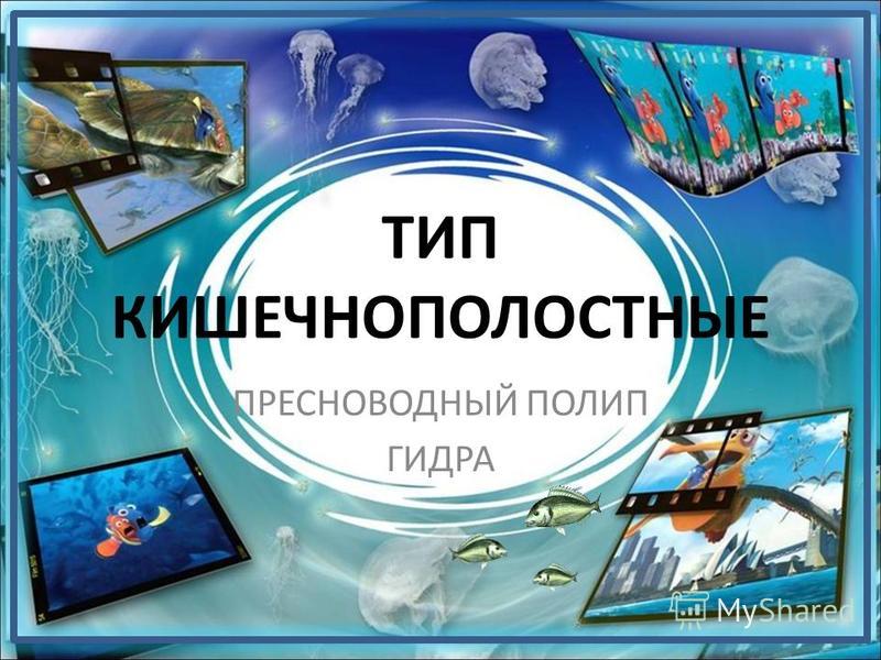 Кракен сайт 18